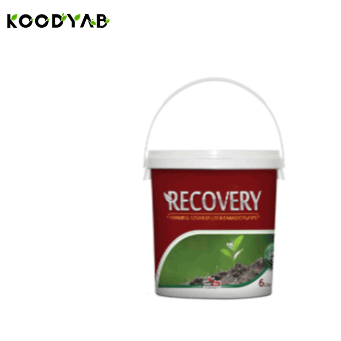 کود ریکاوری سوپرمکس