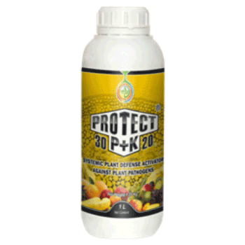 کود محافظت کننده 20 30 رایحه دشت سبز ایرانیان 