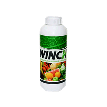 کود وینچ آی اف تی سی