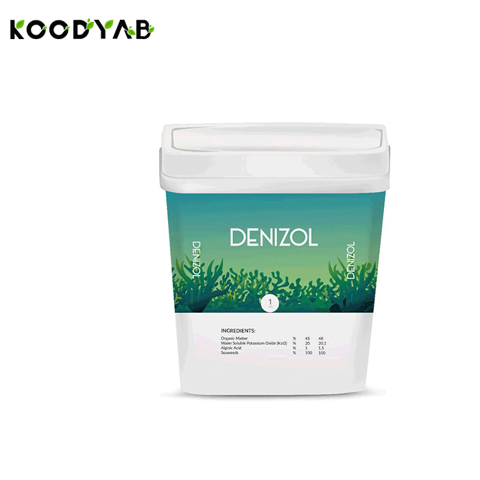 کود جلبک دریایی دنیزول دی آران