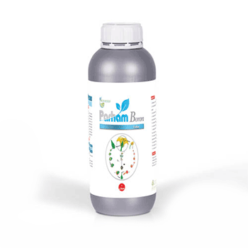 کود بر ۱۰ پرهام