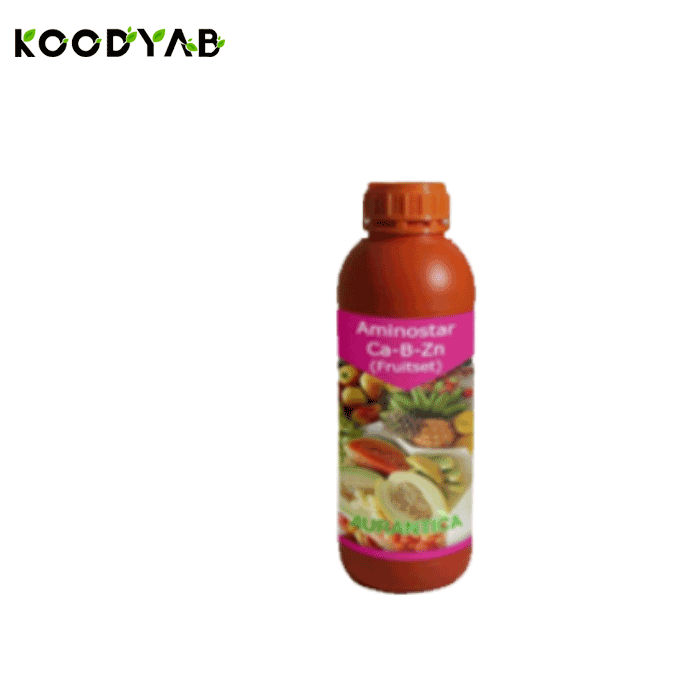 کود آمینو استار کلسیم  بر روی اورانتیکا