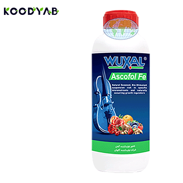 کود آسکوفول آهن وکسال