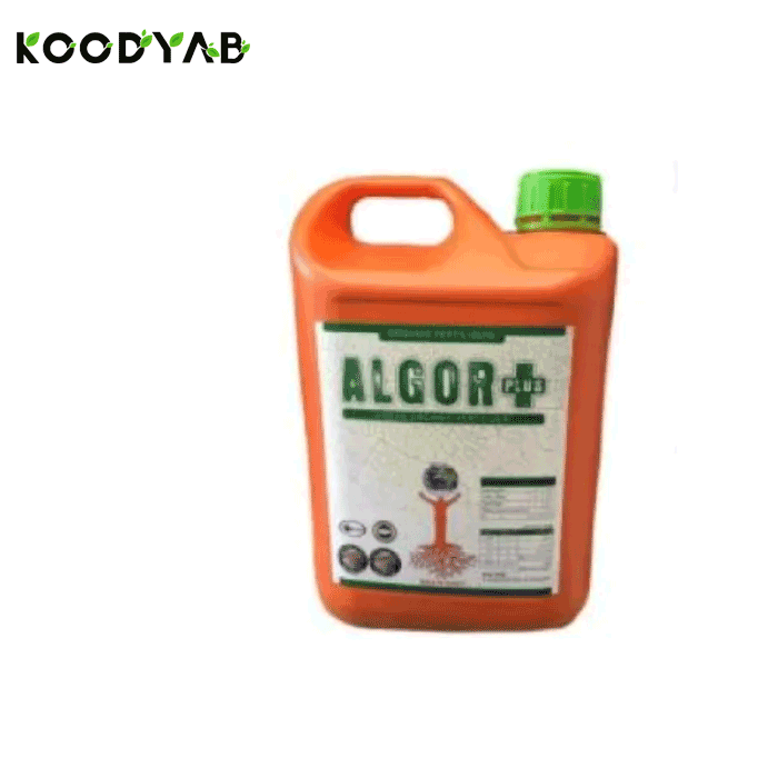 کود آلگورپلاس ای ان تی