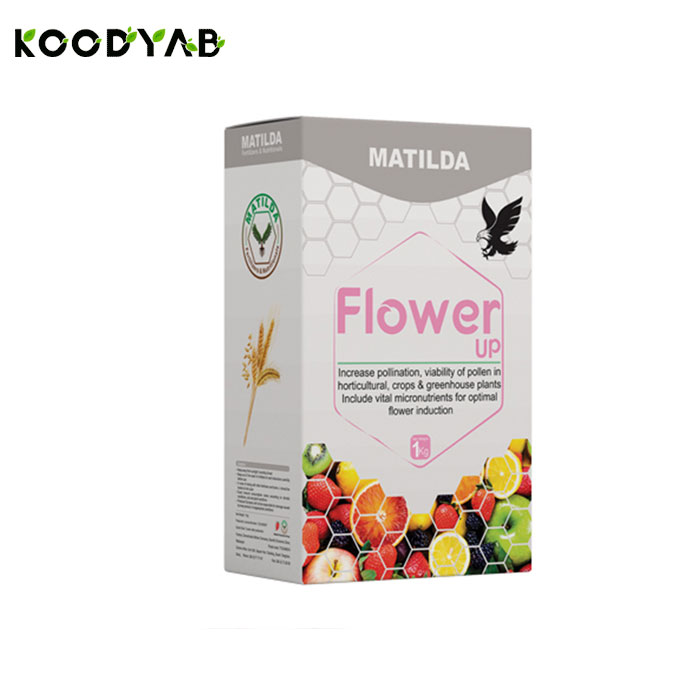 کود فلاور آپ ماتیلدا