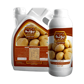 کود سیب زمینی بوته