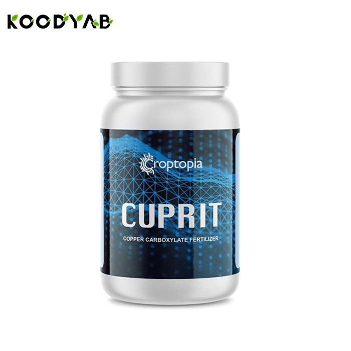 کود کاپریت راپتوپیا