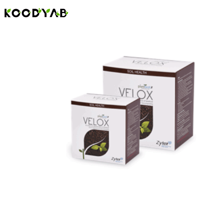 کود ویلوکس زیتکس