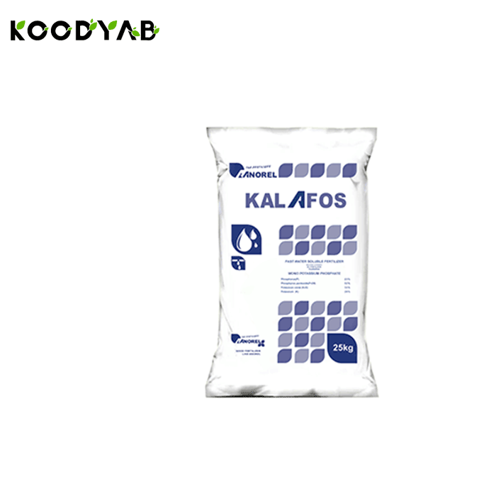 کود کالافوس آنورل