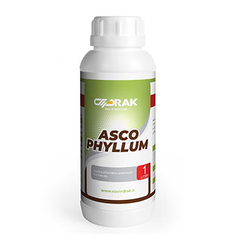 کود آسکو فیلوم نوین دراک