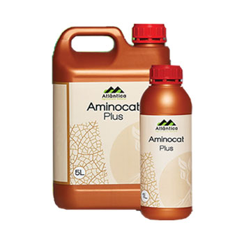 کود آمینوکت پلاس آتلانتیکا