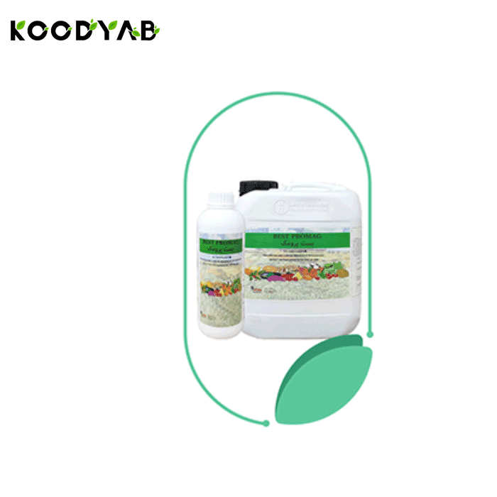 کود بست پرومگ پروتئو