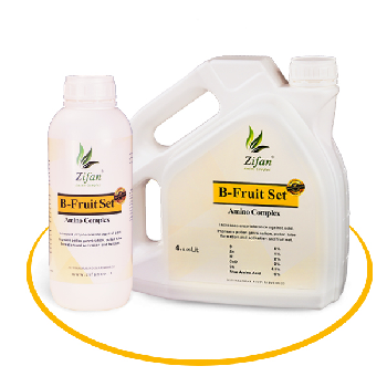 کود آمینو کمپلکس بر فروت ست زیفان