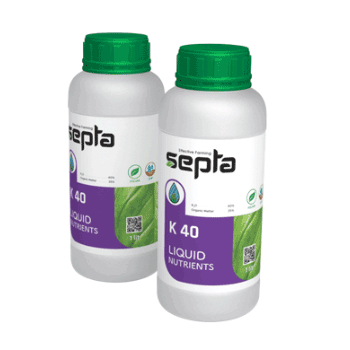 کود پتاس40 سپتا