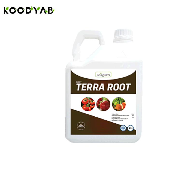 کود ترا روت یونی کی ترا