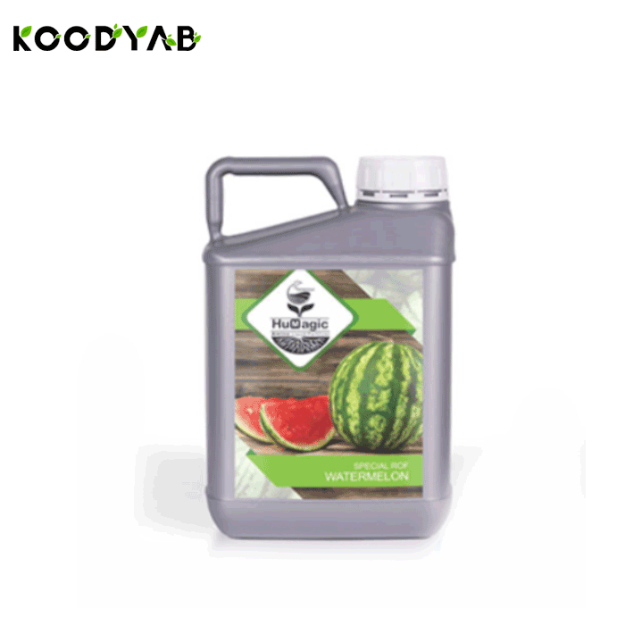 کود 5 لیتری هیومجیک هندوانه  پرهام