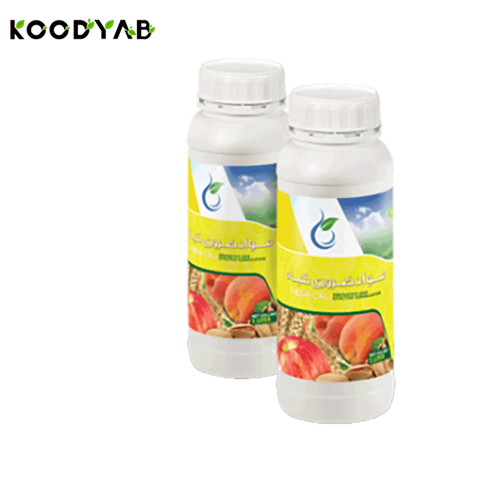 کود مگا کال داتیس