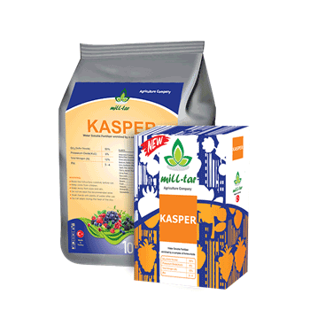 کود کاسپر میل تار