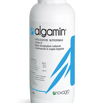 کود جلبک دریایی آلگامین نواگرو