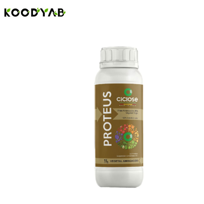 کود پروتئوس سیکلوز