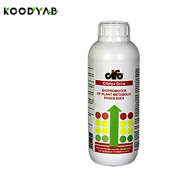 کود سیفالگا گرو سیفو