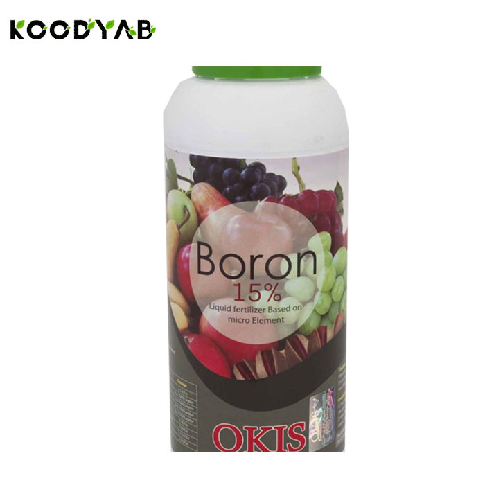 کود بر 15 اکیس