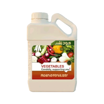 کود سبزیجات رشد