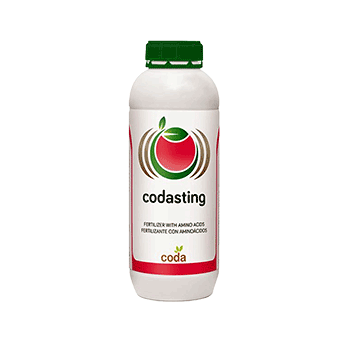 کود ستینگ  کدا