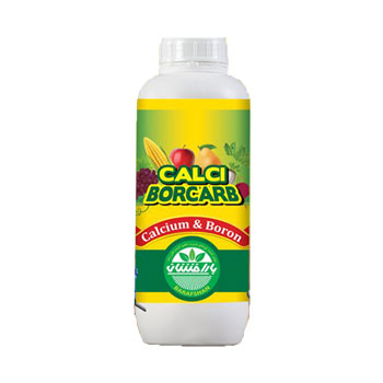 کود کلسی برکارب بارافشان