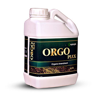 کود ارگو پلکس راپتوپیا