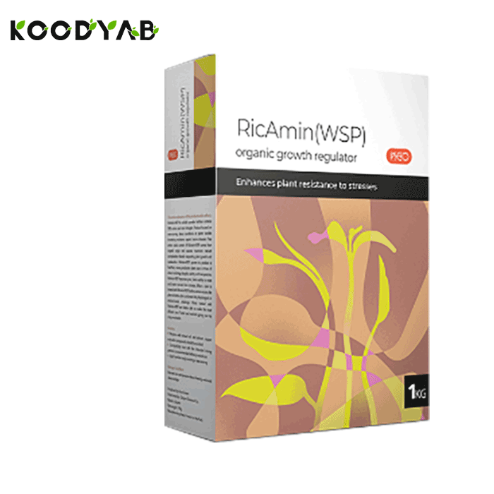 کود ریک آمین ریکو