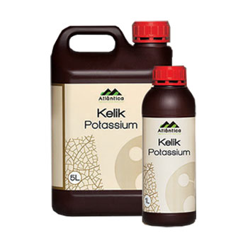 کود کلیک پتاسیم آتلانتیکا