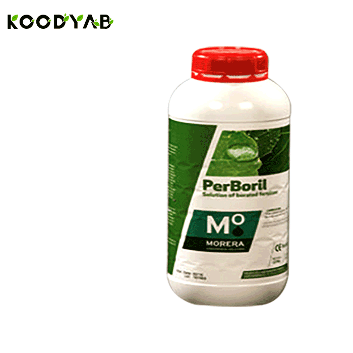 کود پربریل موررا