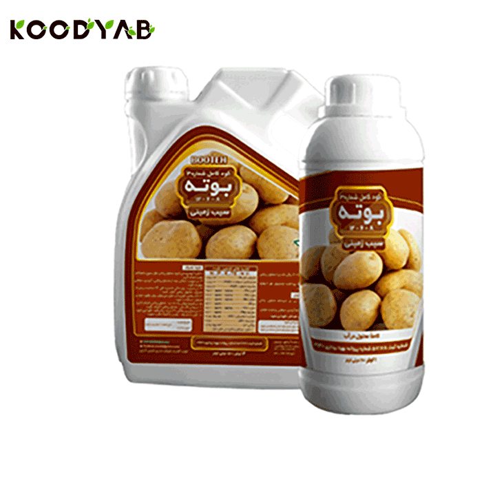 کود سیب زمینی بوته