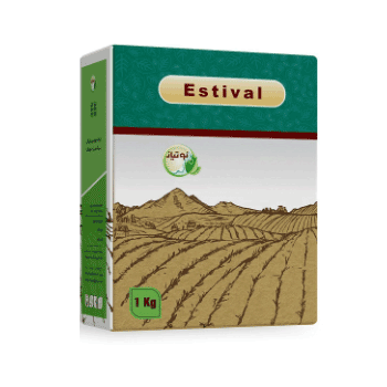 کود استیوال نوتیاز