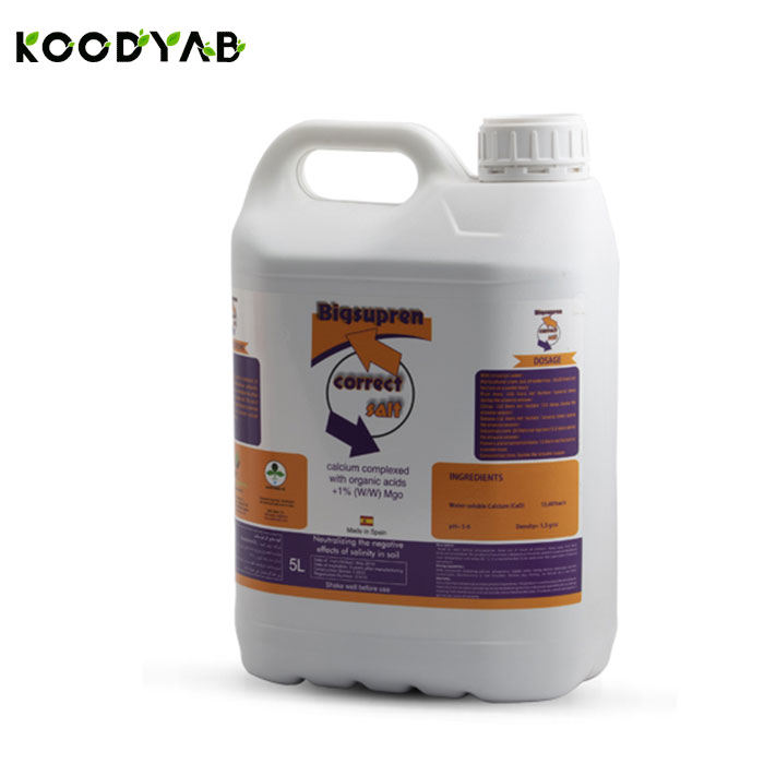 کود کارکت سالت آنوکا