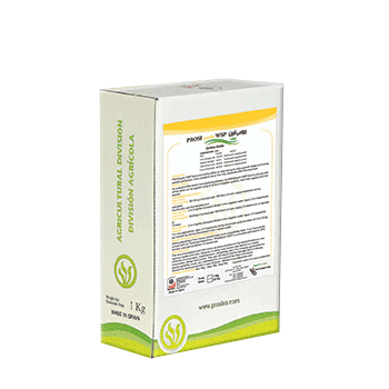 کود آمین پروسیسا