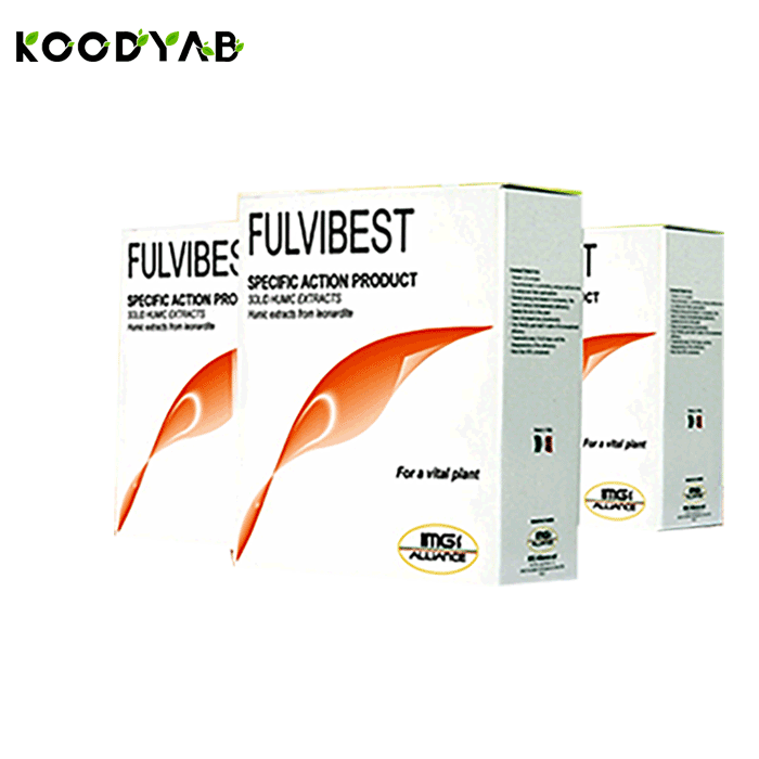 کود فولوی بست آی ام جی