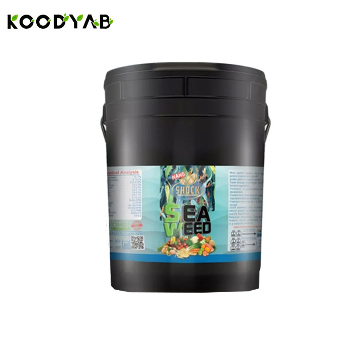 کود جلبک دریایی مایع  20 لیتری شوک