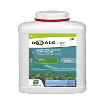 کود اینو آلگ آرا شیمی کیمیا