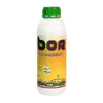 کود بور اگری نوا 