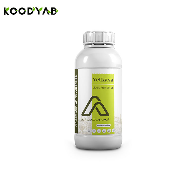 کود فروت ست یلکایا