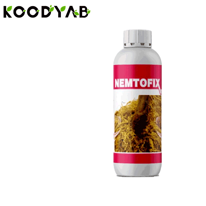 کود نماتوفیکس اریکه