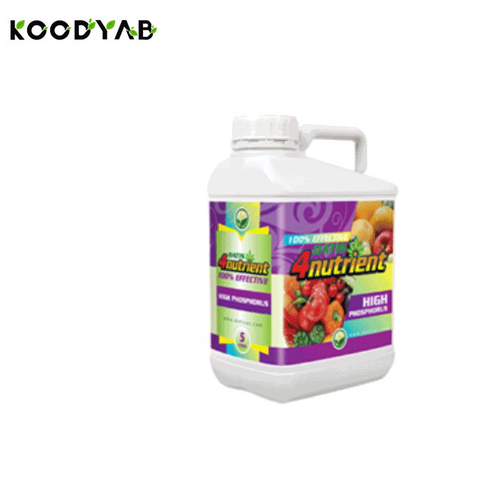 کود فسفر بالا داتیس