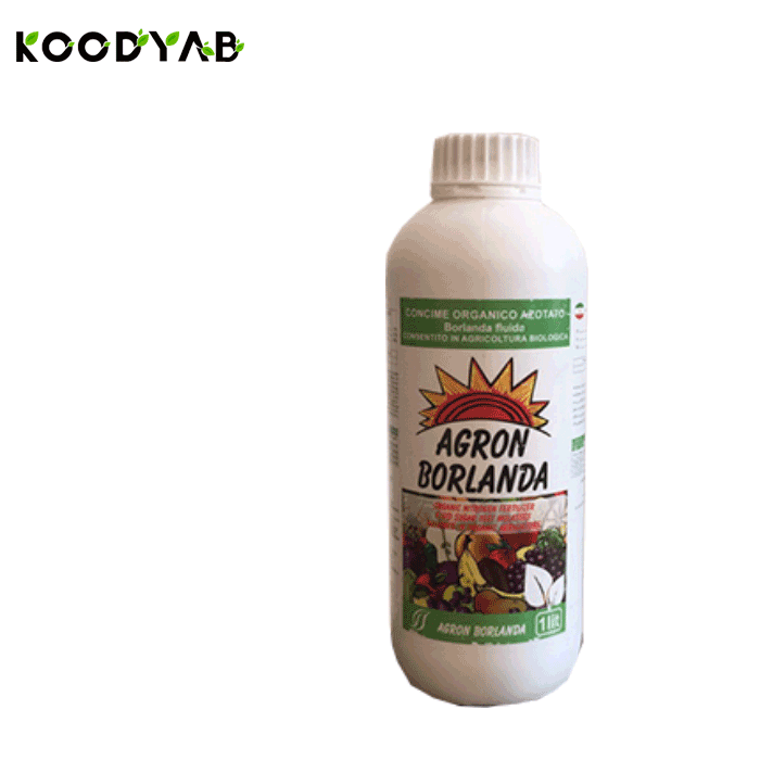 کود اگرون بورلندا روناس