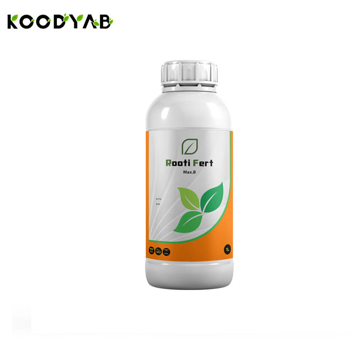 کود ماکزیمم بور سانسوی گرین 