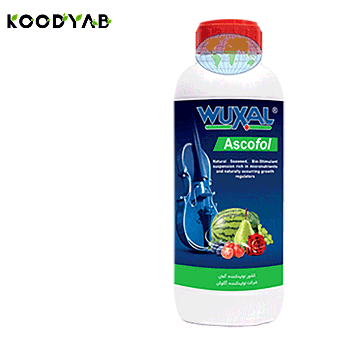 کود  آسکوفول وکسال