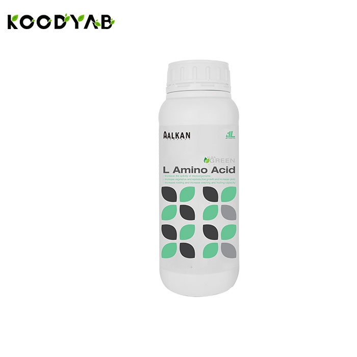 کود ال آمینو آلکان 