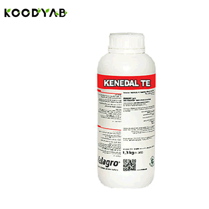 کود کندال تی ایی والگرو