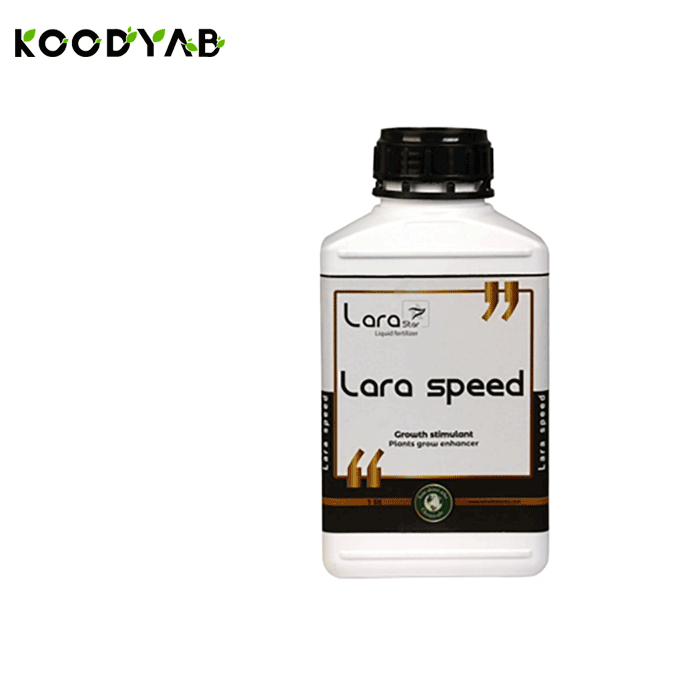 کود اسپید لارااستار